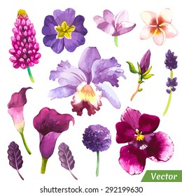 Vector illustration with watercolor flowers. Painting violet set of plants with calla lily, plumeria, orchid and leaves.