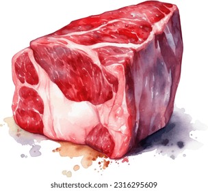 Ilustración vectorial con alimento acuarela. Imagen acuarela de una técnica de pintura. Carne de buey cruda.