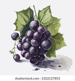 Vector illustration of watercolor fruit
