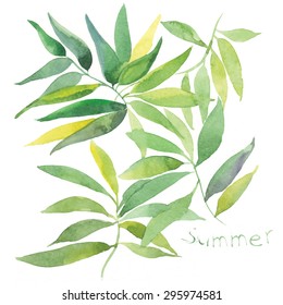 Vector Illustration of watercolor green leaf design element. Summer texture