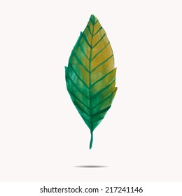 Vector illustration of watercolor leaf