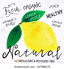 Vector illustration of watercolor lemon, hand drawn in 1950s or 1960s style. Concept for farmers market, organic food, natural product design, soap package, herbal tea, etc.
