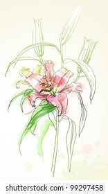 Vector illustration watercolor lily