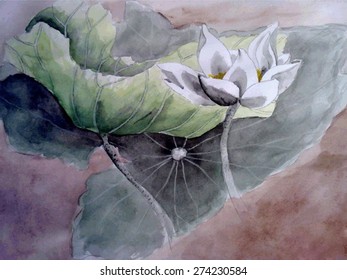 Vector illustration of a watercolor lotus flower. 
