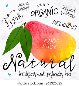 Vector illustration of watercolor mango, hand drawn in in 1950s or 1960s style. Concept for farmers market, organic food, natural product design, soap package, herbal tea, etc. 