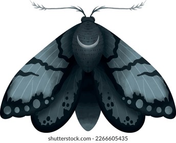 Ilustración vectorial polilla acuarela en colores azul oscuro aislados en blanco. Mano de mariposa mística nocturna dibujada