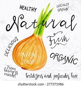 Vector illustration of watercolor onion, hand drawn in in 1950s or 1960s style. Concept for farmers market, organic food, natural product design, stir fry, soup, salad, etc.