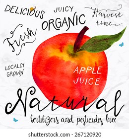 Vector illustration of watercolor red apple, hand drawn in 1950s or 1960s style. Concept for farmers market, organic food, natural product design, soap package, herbal tea, etc.
