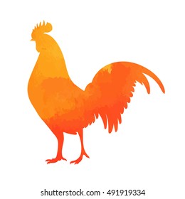 vector illustration of watercolor rooster