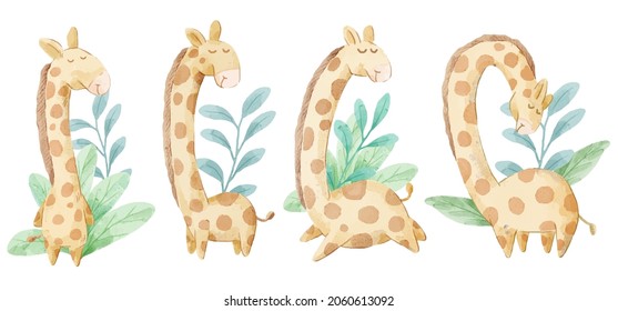 Vector illustration watercolor Set of adorable Giraffe For Your Design. Various of Giraffe gesture and color