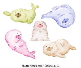 Vector illustration watercolor Set of adorable Seal For Your Design. Various of Seal gesture and color