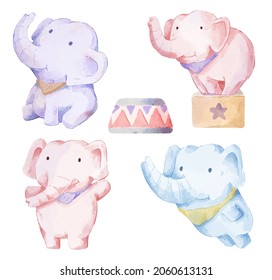 Vector illustration watercolor Set of adorable elephant For Your Design. Various of elephant gesture and color