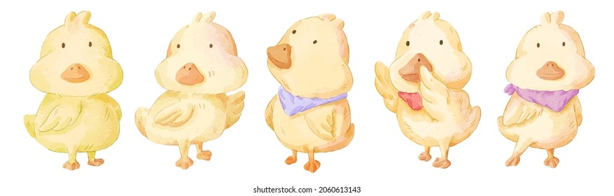 Vector illustration watercolor Set of adorable Duck For Your Design. Various of Duck gesture and color