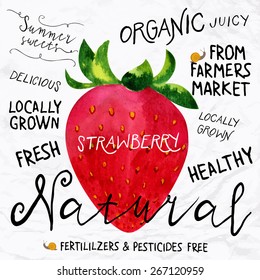 Vector illustration of watercolor strawberry, hand drawn in 1950s or 1960s style. Concept for farmers market, organic food, natural product design, soap package, herbal tea, etc.
