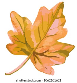 Vector illustration in watercolor style brown colored fall leaf