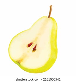 Vector illustration in watercolor style A piece of green pear cut in half with stem isolated on white Healthy vegetarian food Decoration design for greeting cards, prints for clothes, posters, menus