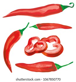 Vector illustration watercolor style red paprika jalapeno chili pepper