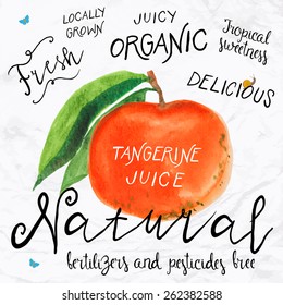 Vector illustration of watercolor tangerine , hand drawn in 1950s or 1960s style. Concept for farmers market, organic food, natural product design, soap package, herbal tea, etc.