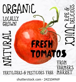 Vector illustration of watercolor tomato, hand drawn in in 1950s or 1960s style. Concept for farmers market, organic food, natural product design, juice, sauce, ketchup, etc.