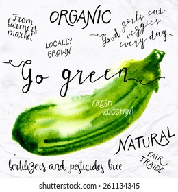 Vector illustration of watercolor zucchini, hand drawn in in 1950s or 1960s style. Concept for farmers market, organic food, natural product design, stir fry, soup, salad, etc. 