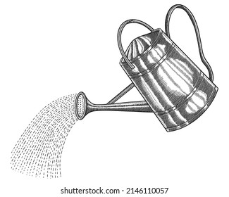 Vector Illustration of watering can