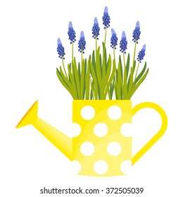 Vector illustration with watering can in flat style. Vector muscari isolated on white background 