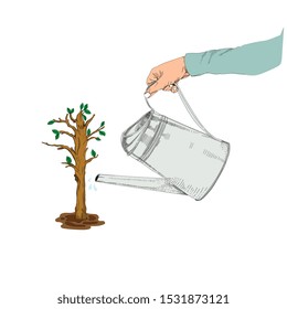 Vector illustration of watering trees