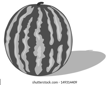 Vector Illustration of Watermelon, black and white