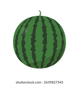 Vector illustration of watermelon. Clipart of a large watermelon.