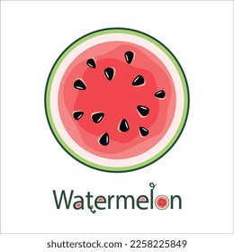 vector illustration of a watermelon in a cut with the designation