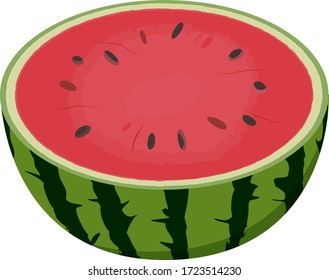Vector illustration of watermelon cut in half.