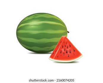 vector illustration watermelon design template.