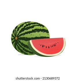 vector illustration of watermelon fruit and its inside