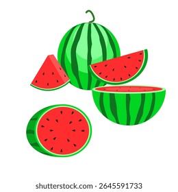 a vector illustration of a watermelon fruit that can be used in various tasks or jobs.