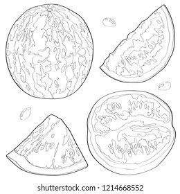 Vector illustration of a watermelon, half watermelon, a slice of watermelon. Black line.