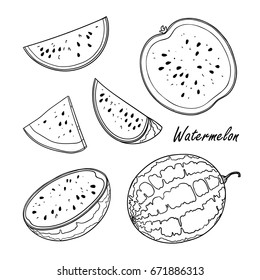 Vector illustration of watermelon. Hand drawn collection for design, isolated on white. Black lines sketch