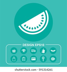 Vector Illustration Watermelon Icon