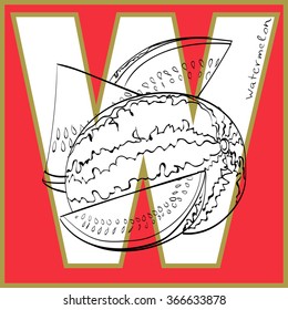 Vector illustration of watermelon inside of letter W. Limited colors graphic. Hand drawing.