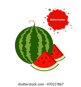 Vector illustration of watermelon and juicy slices isolated on white background.
