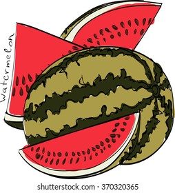 Vector illustration of watermelon. Limited colors graphic: black, green, red. Hand drawing, good for textile printing.