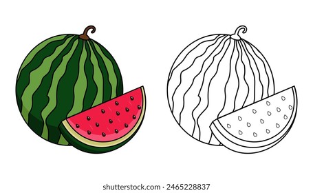 Vector illustration of watermelon with lines and colors, for children's coloring books