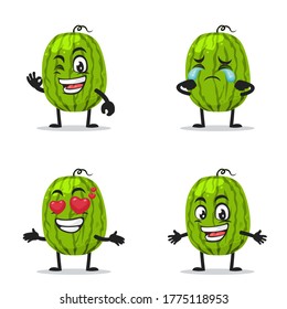 Vector illustration of watermelon mascot or character collection set with expression theme