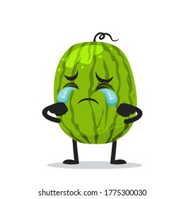 Vector illustration of watermelon mascot or character crying