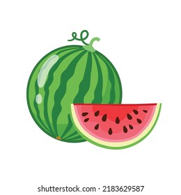 Vector illustration with watermelon on a white background. Watermelon in cartoon style on a children's theme.