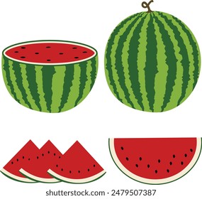 Vector illustration watermelon on white background, green stem, cut half, sliced, one slice with red color.