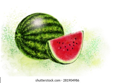 vector illustration watermelon painted colors