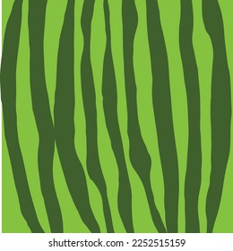 Vector illustration of watermelon realistic pattern. vector background.