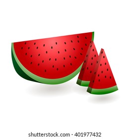 Vector illustration of watermelon slices