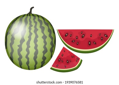Vector illustration of a watermelon.Big and sweet berry with red pulp.