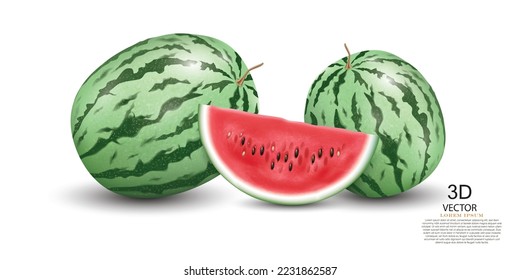 vector illustration watermelones and slice of watermelon,design template.on the white background.realistic 3D illustration template.use for tasty fruits concept.